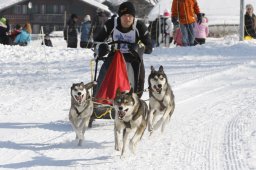 Lenk 2012 SM